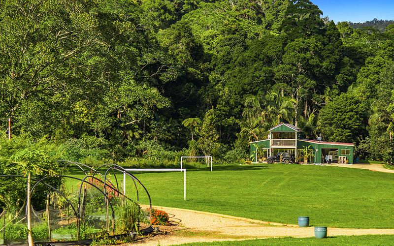 354 Upper Wilsons Creek Road, Upper Wilsons Creek NSW 2482 House Sold