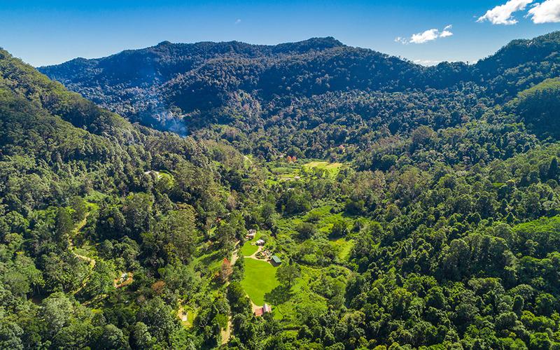 354 Upper Wilsons Creek Road, Upper Wilsons Creek NSW 2482 House Sold