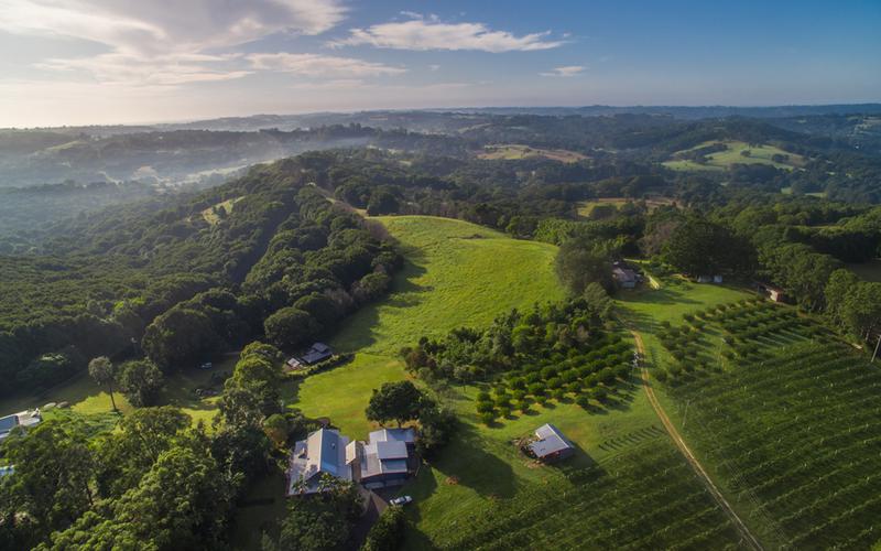 Federal NSW 2480 Property Information