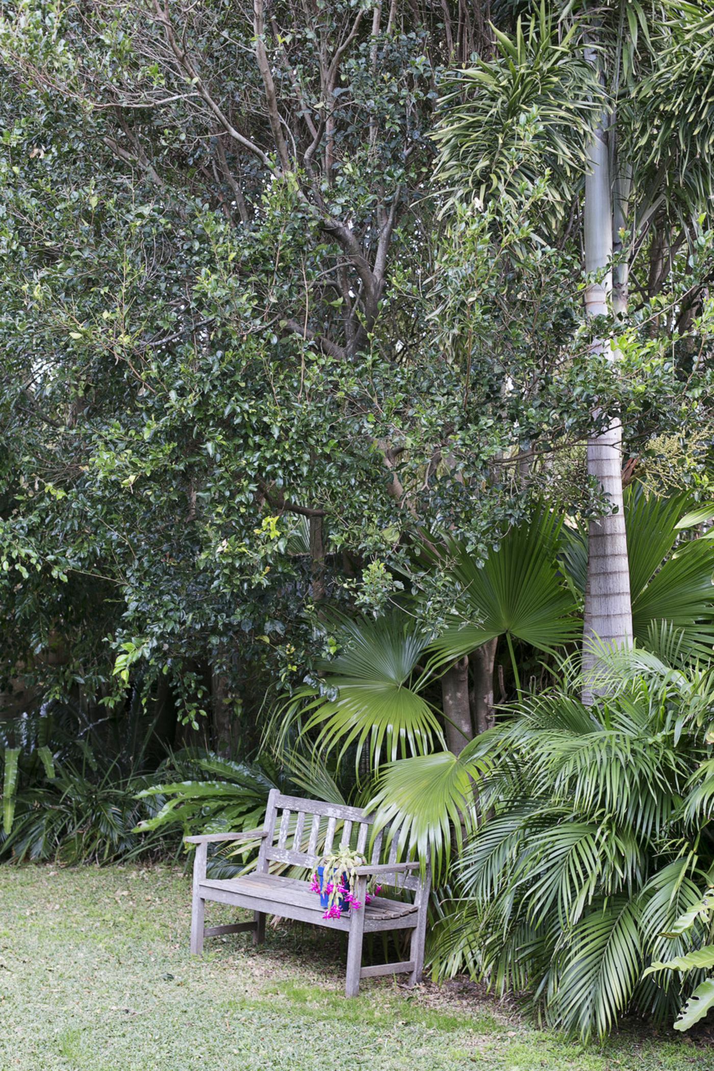 11-stewart-ave-curl-curl-nsw-2096-house-sold-cunninghams-au