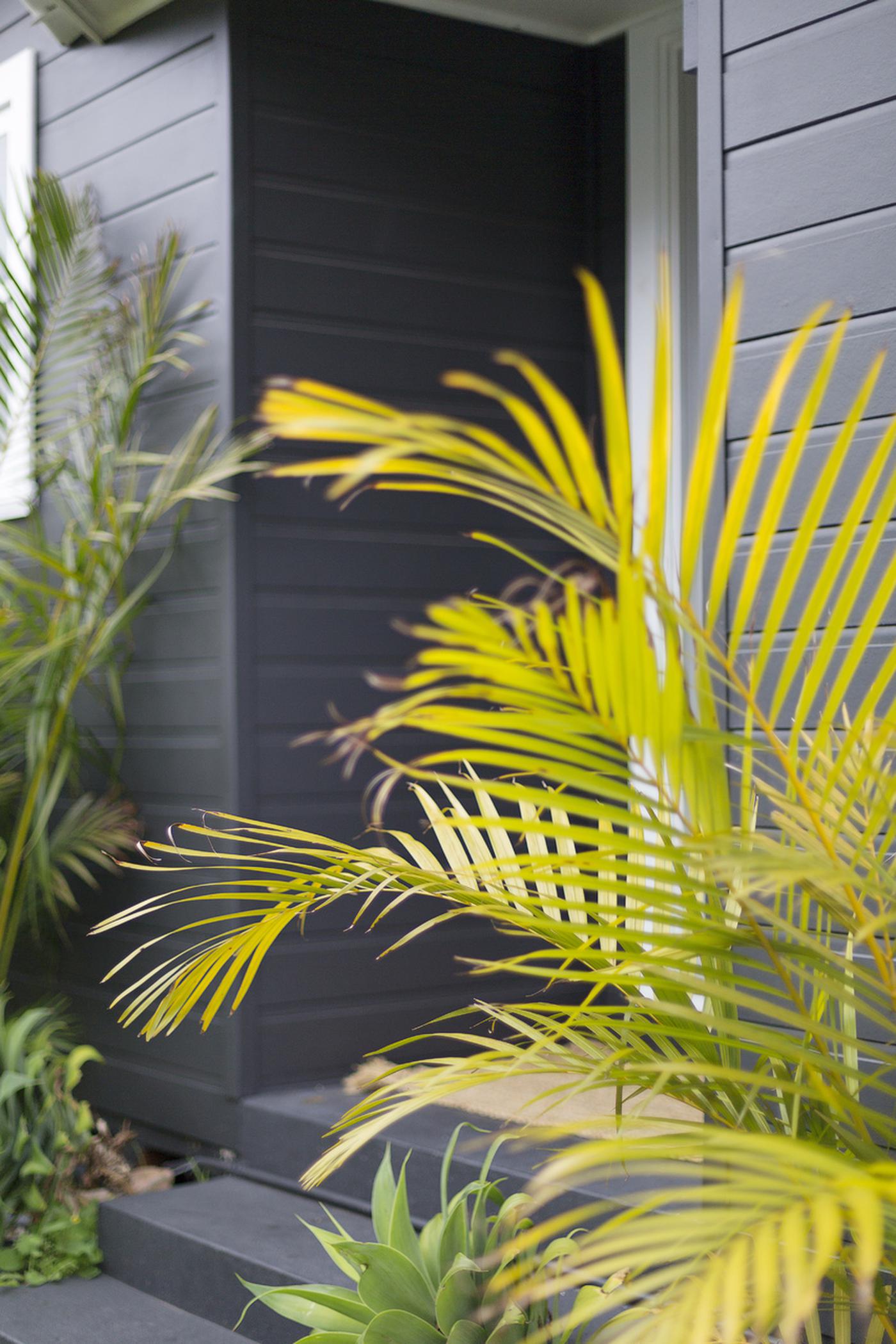 14 Laurie Road, Manly Vale NSW 2093 House Sold