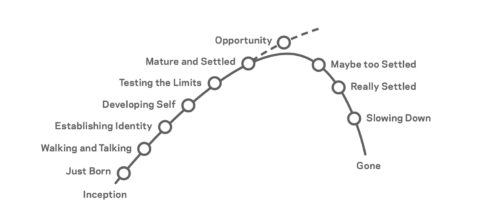 Life Stages of a Business by Richard Shrapnel