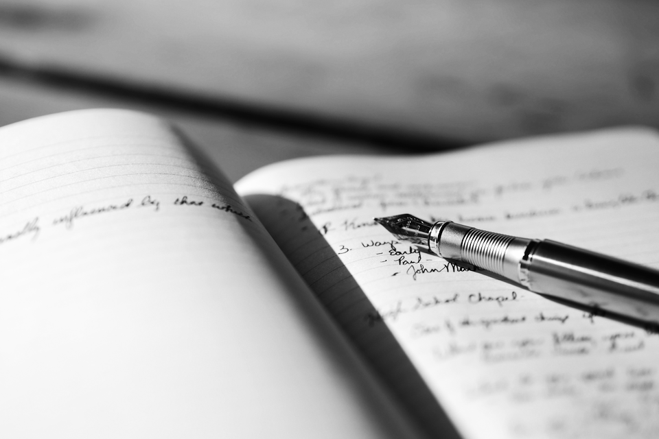 Richard Shrapnel's 'The CEO’s Journal – A Record Of Learnings'.