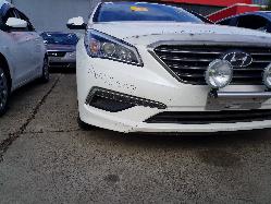 View Auto part Courtesy Light Hyundai Sonata 2016