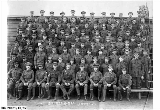(The 43rd battalion)