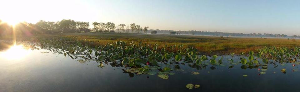Yellow Water Cruises - Gagudju Dreaming