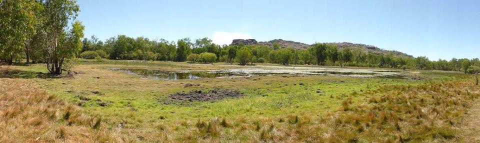 Anbangbang Billabong