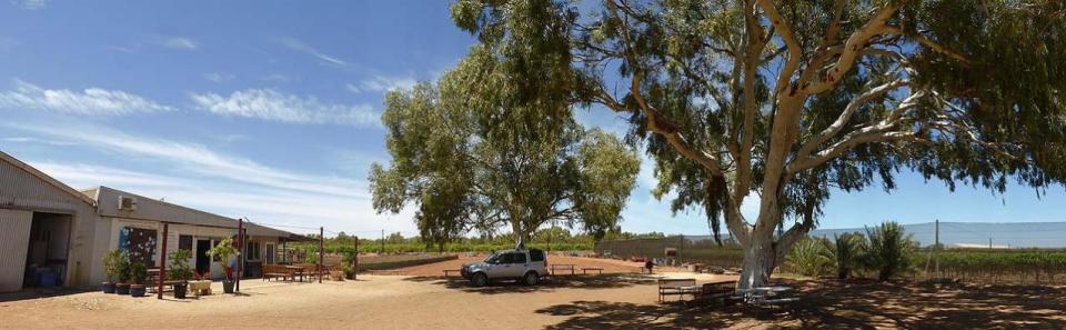 Bumbaks Preserves & Icecreams