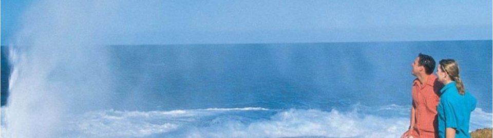 BIG4 Plantation Caravan Park