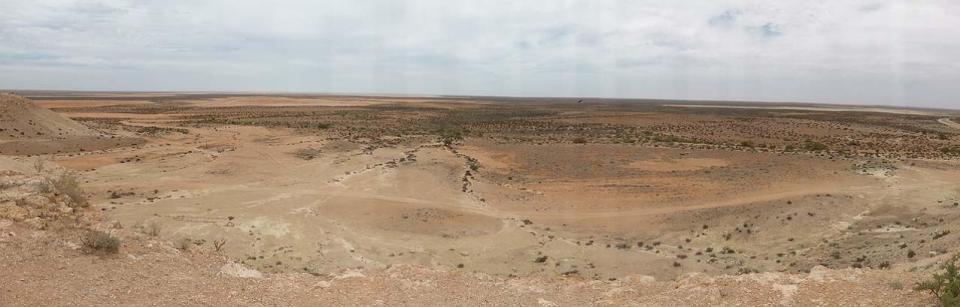 Shark Bay Lookout