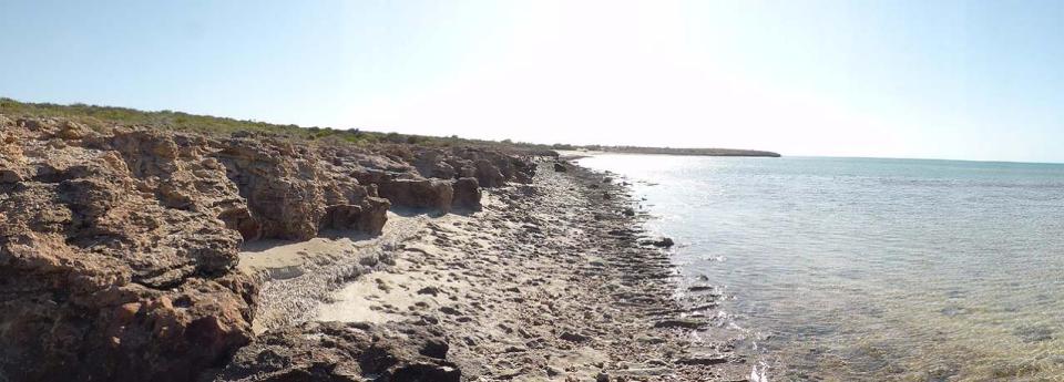 Tamala Station - Prickly Point - The Huts