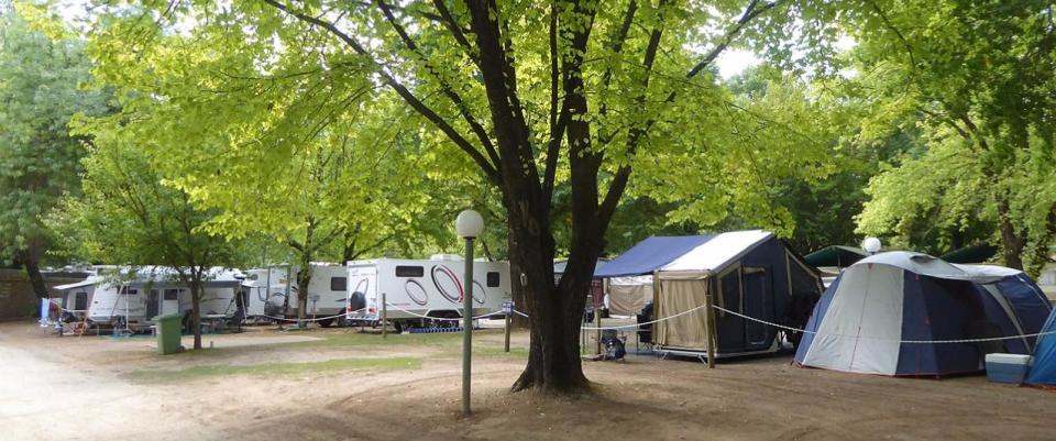 Pine Valley Tourist Park