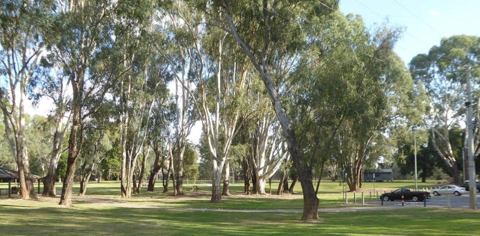 Apex Park - Wangaratta