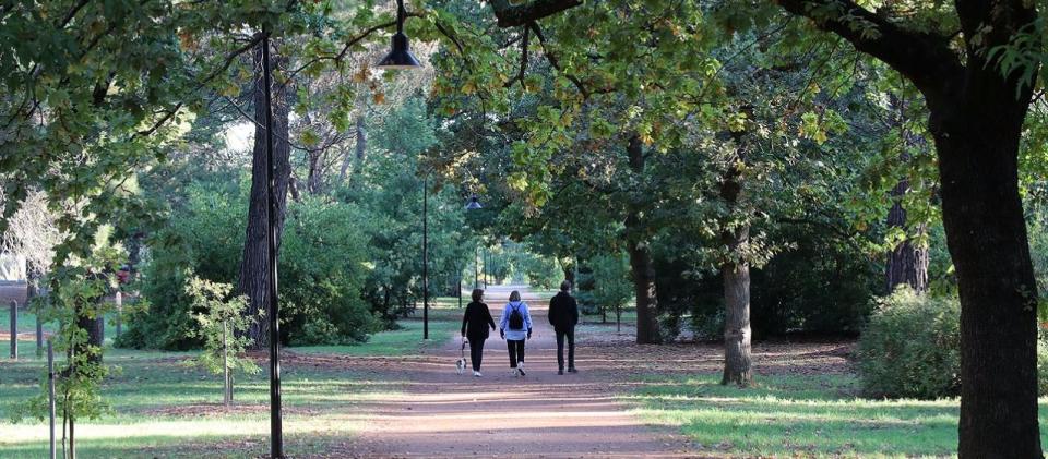 Castlemaine Botanical Gardens
