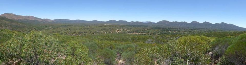Wilpena Pound Hills Homestead Walk
