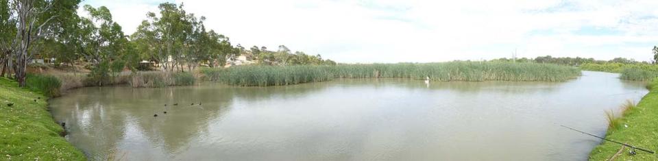 Hermann Gass Bird Sanctuary