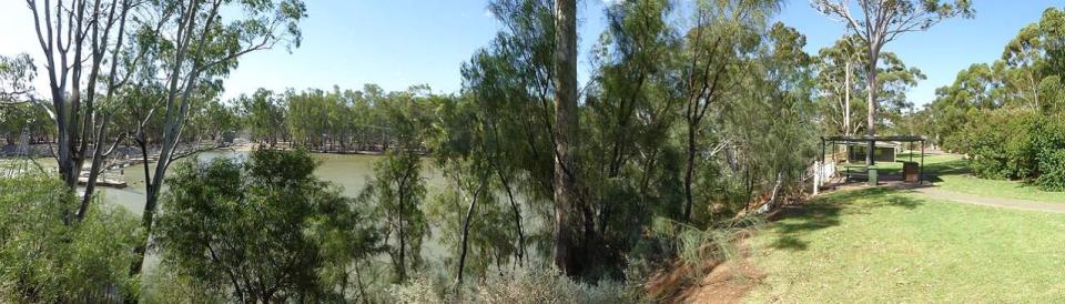 Murray River Lock 15 & Weir