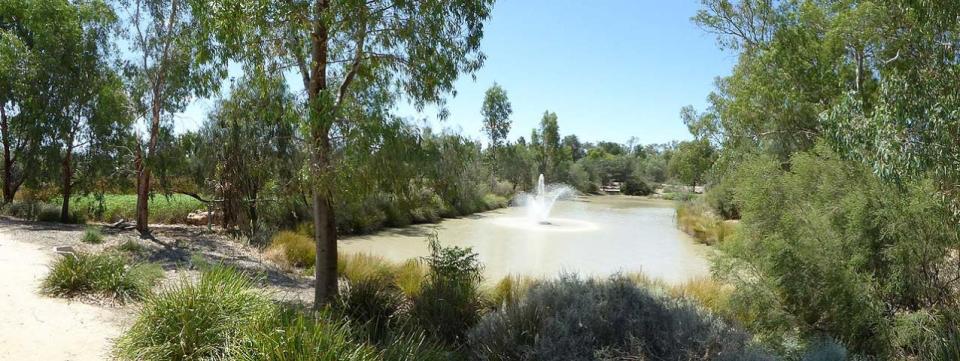 Malloo Street Wetlands