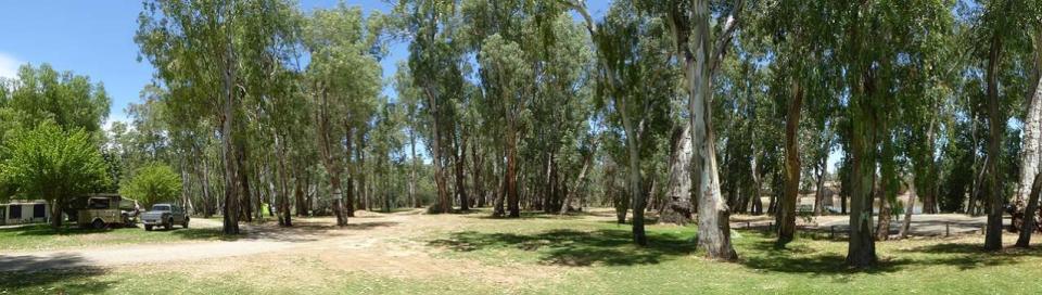 Barham Caravan & Tourist Park