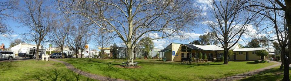 Elizabeth Park - Scone