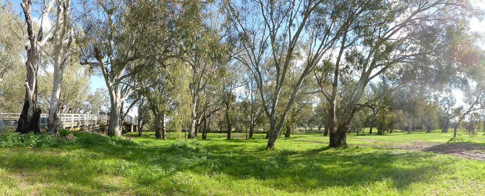 Cohens Bridge Rest Area