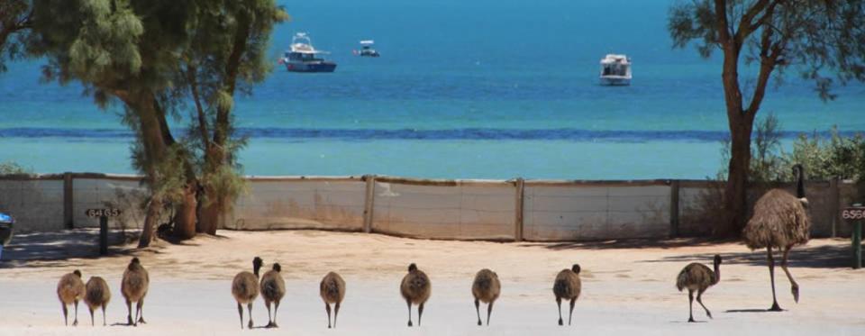 Denham Seaside Tourist Village