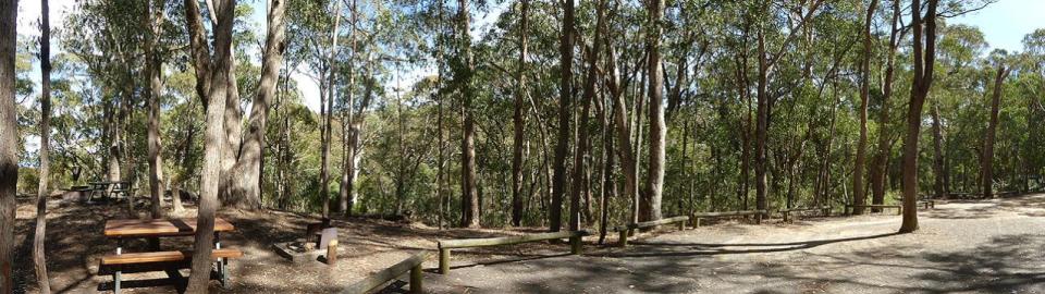 Bark Hut Camping Area