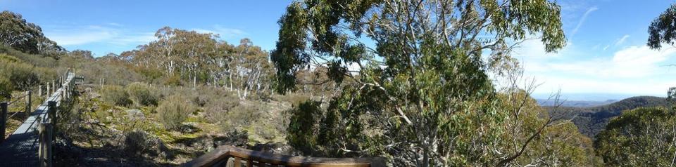 Horsearm Creek Lookout
