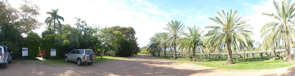 Riversands Vineyards