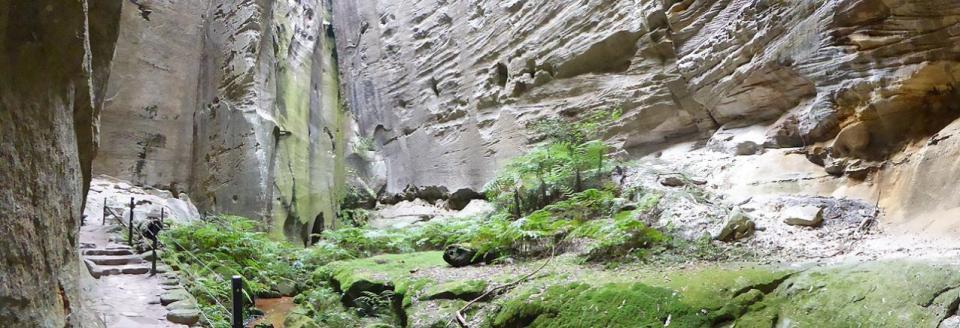 Carnarvon Gorge - Amphitheatre