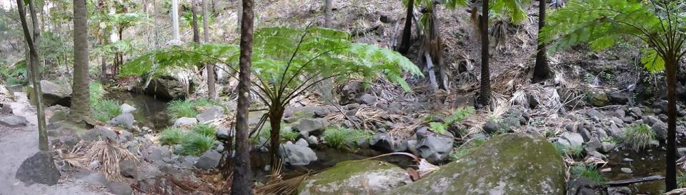 Carnarvon Gorge - Mickeys Creek