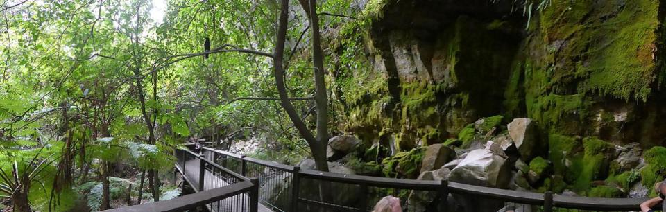 Carnarvon Gorge - Moss Gardens