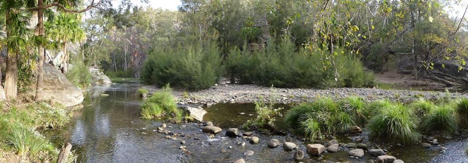 Carnarvon Gorge - Rock Pool