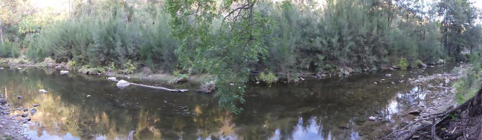 Carnarvon Gorge - Takarakka Bush Resort