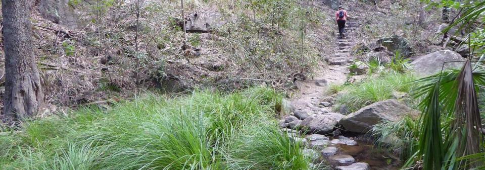Carnarvon Gorge - Warrumba Creek