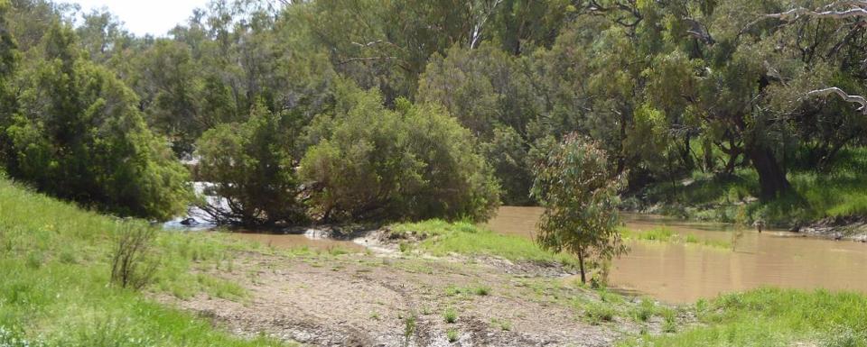 Isisford -  Rest Area