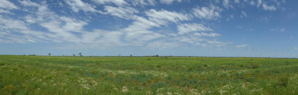 Isisford Blackall Road