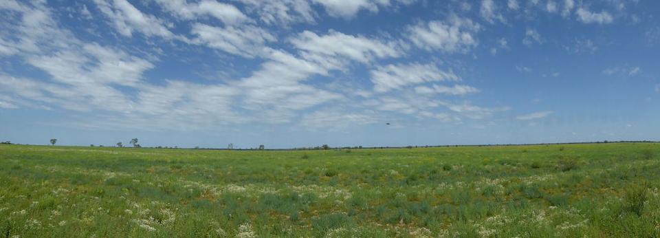 Isisford Blackall Road