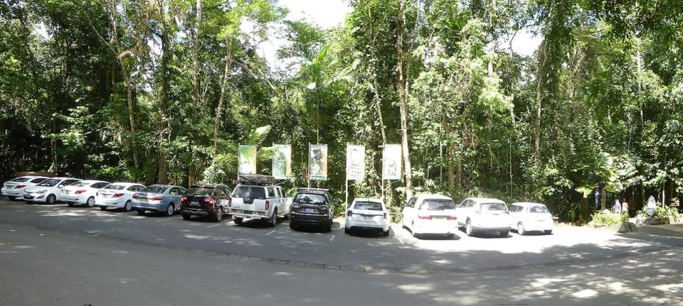 Daintree Discovery Centre