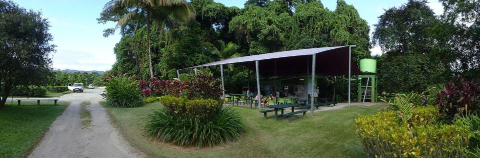 Daintree Icecream Company