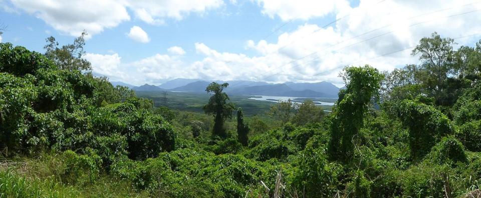 Hinchinbrook Lookout