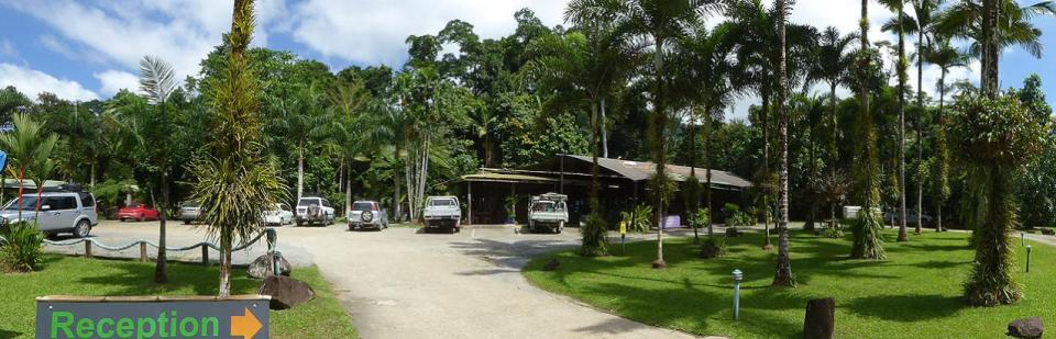 Lync-Haven Motel Camping