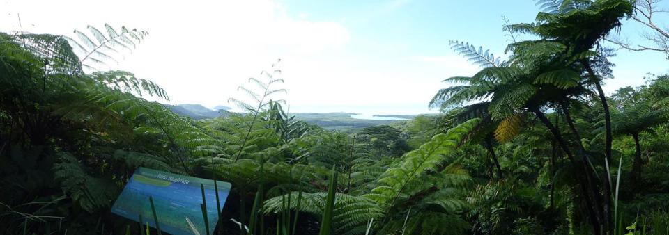 Walu Wurrigga Alexandra Range Lookout