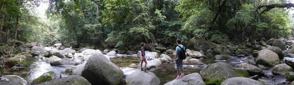 Mossman Gorge - Rainforest Swimming Hole 1