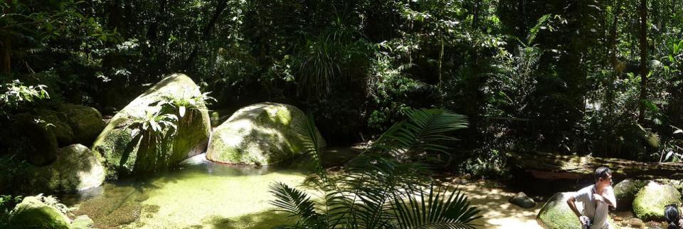 Mossman Gorge - Rainforest Swimming Hole 2