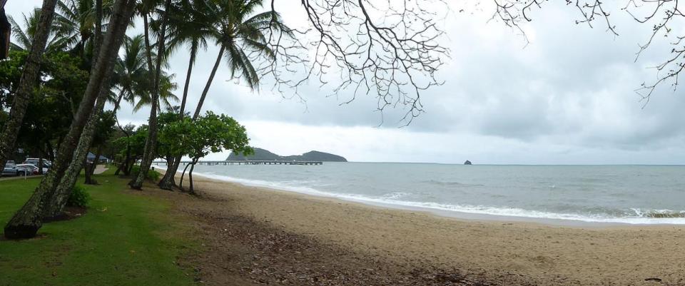 Palm Cove