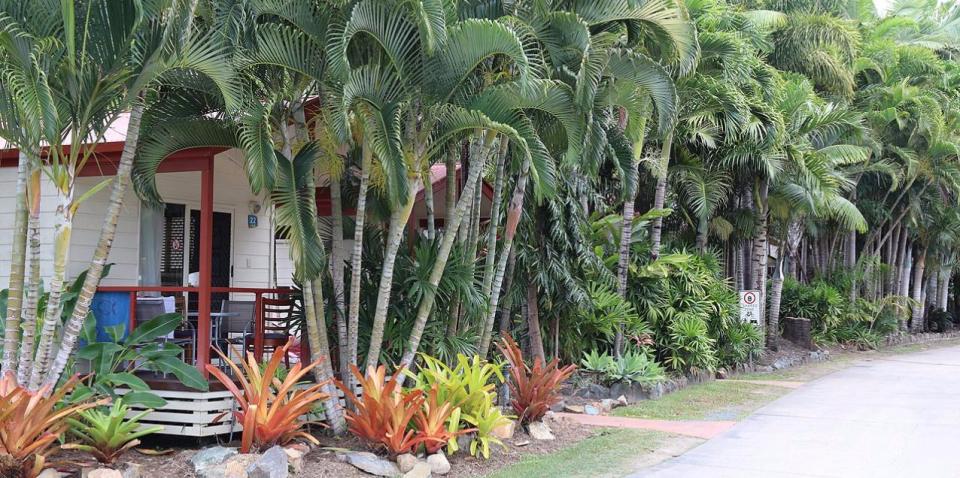 BIG4 Adventure Whitsunday Resort - Cabins