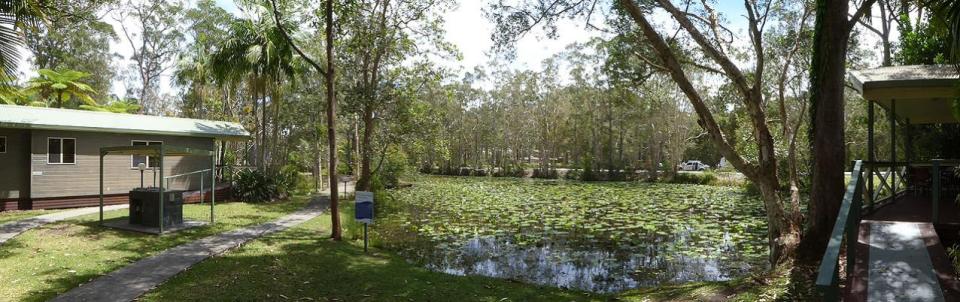 NRMA Darlington Beach Holiday Park - Cabins