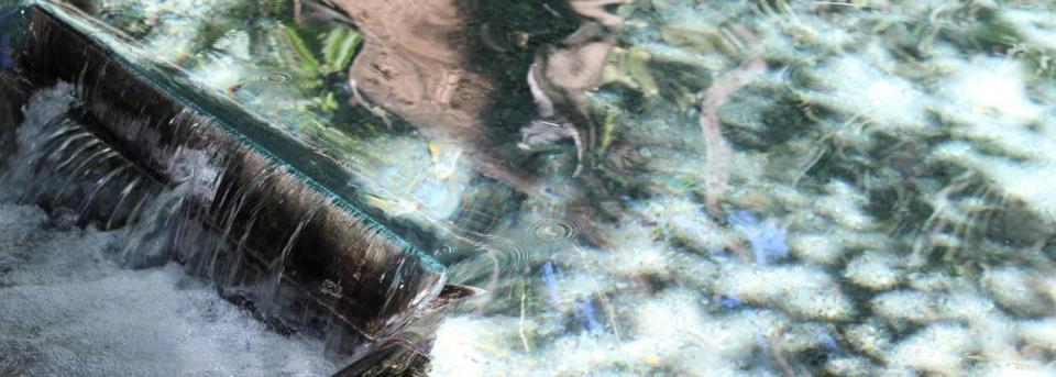 Rainbow Springs Thermal Pool