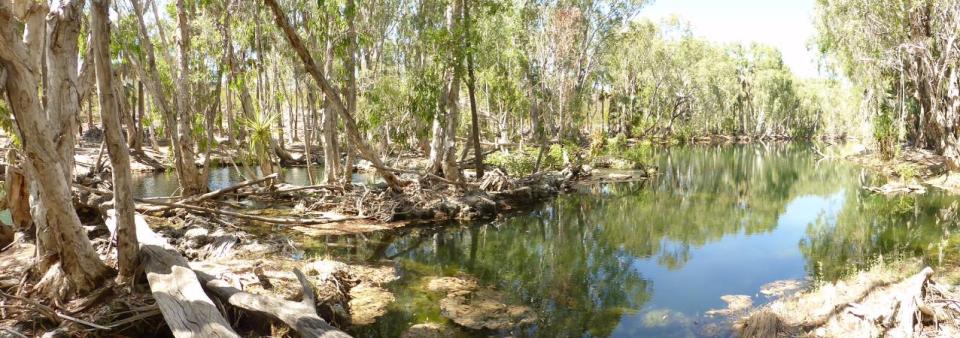 Mataranka Falls